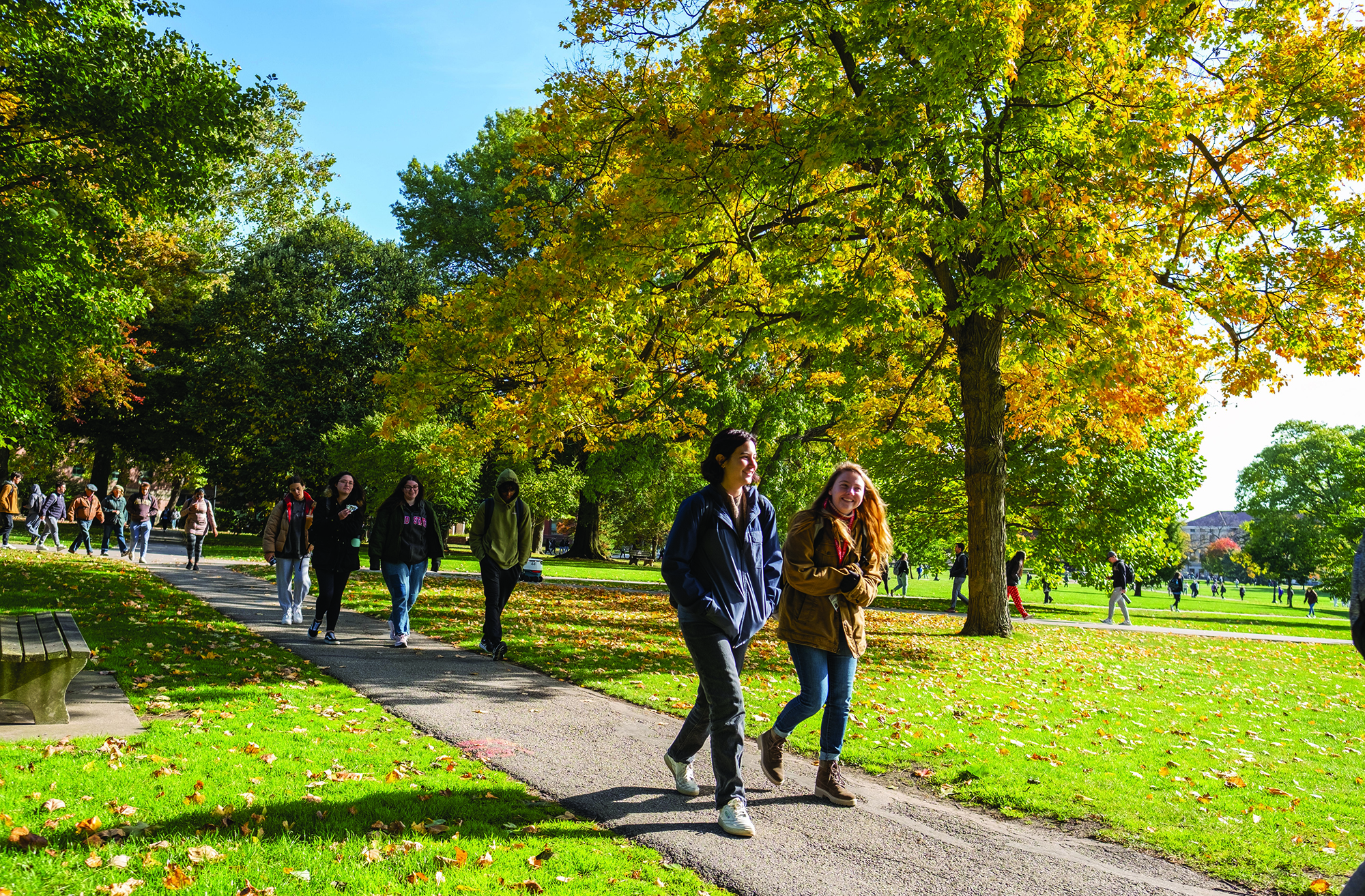 Students walking in the Oval on a sunny, fall day