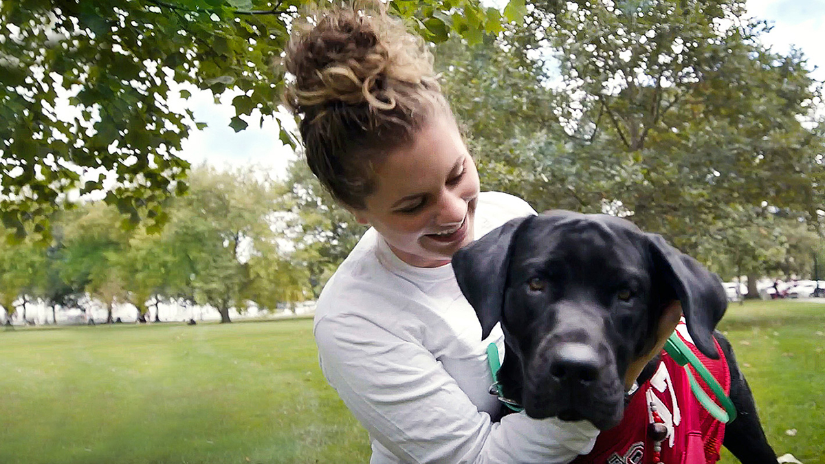 A person and a dog