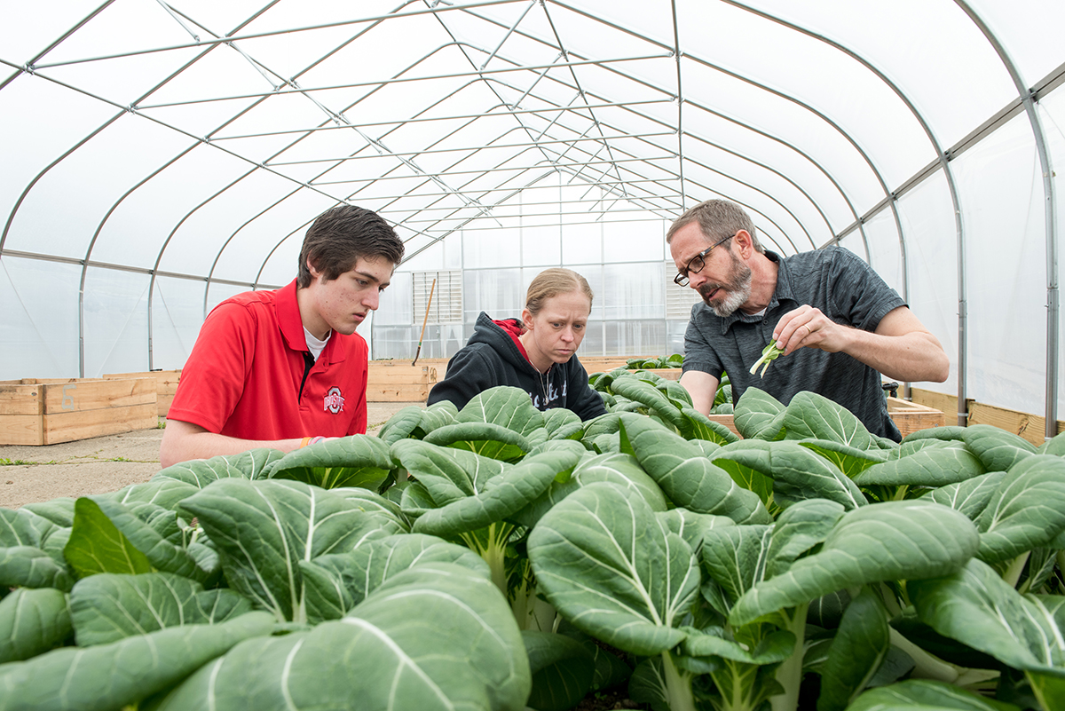 A researcher and two students examine plants in a greenhouse