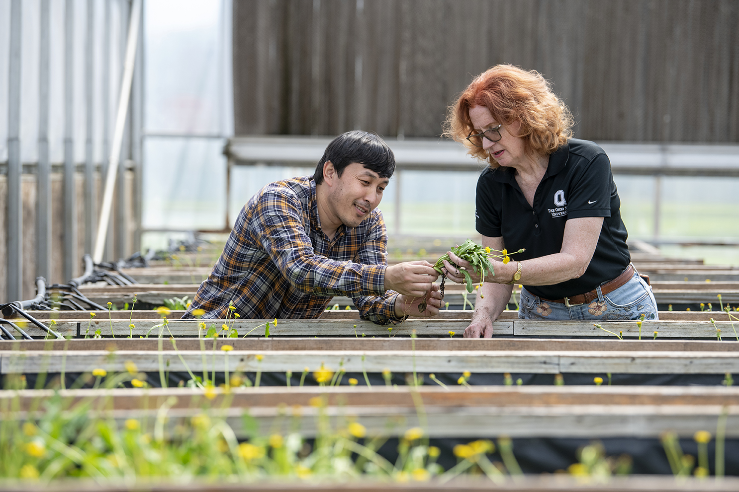Two employees work together in a greenhouse