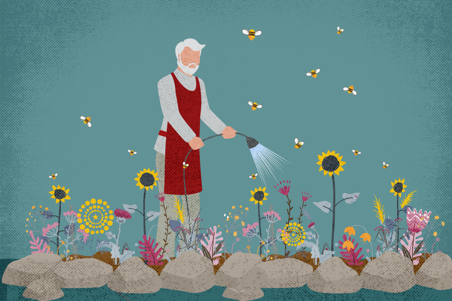 Gardener watering his wildflower bed. © 2021 The Ohio State University.