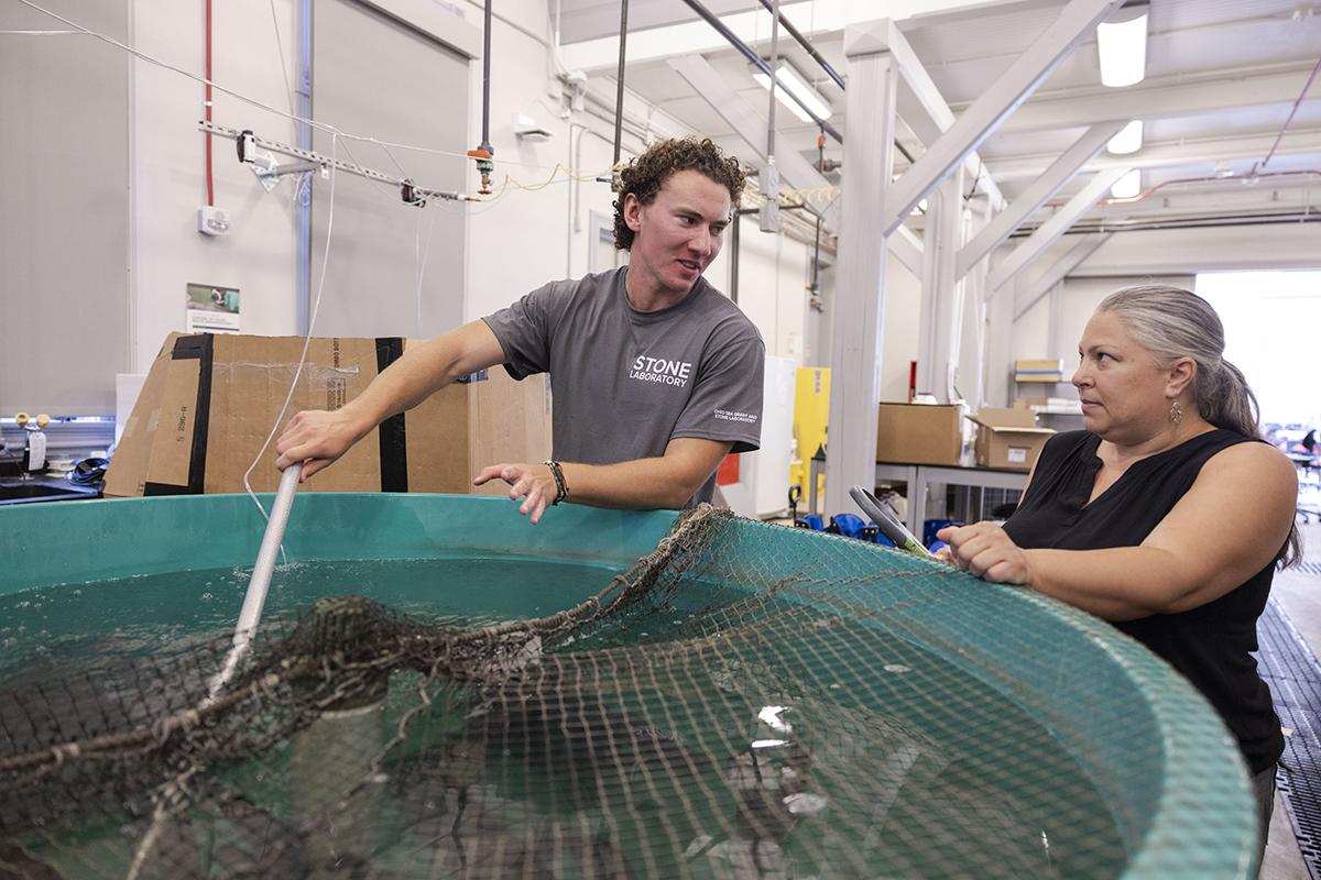Mike Penka talks with his mentor Suzanne Gray while working on a project at Stone Lab.
