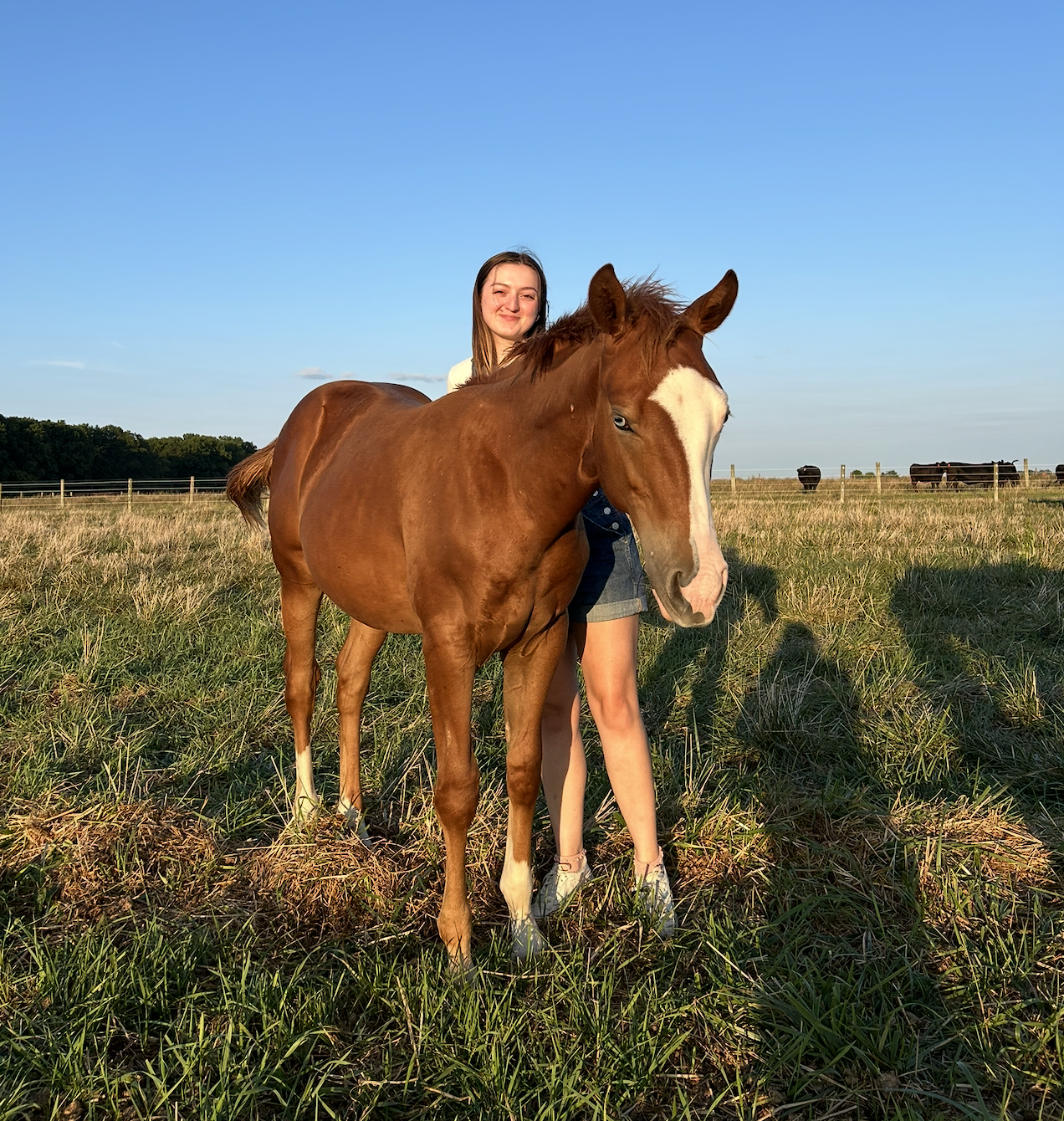 Ella Higgins with a horse