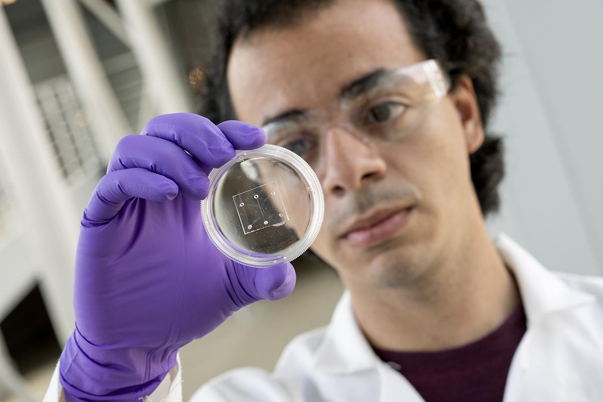 A researcher examines a round glass object.