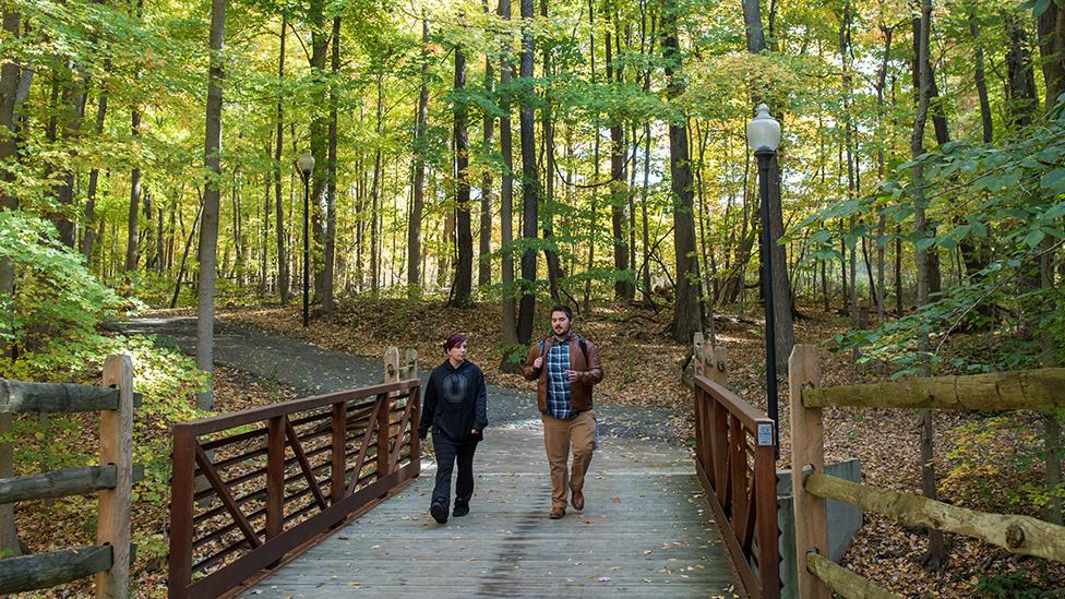 Two students walk over a bridge in a wooded area on the Mansfield campus